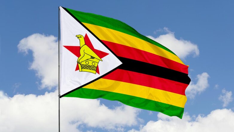 Президент Зимбабве переизбран на новый срок