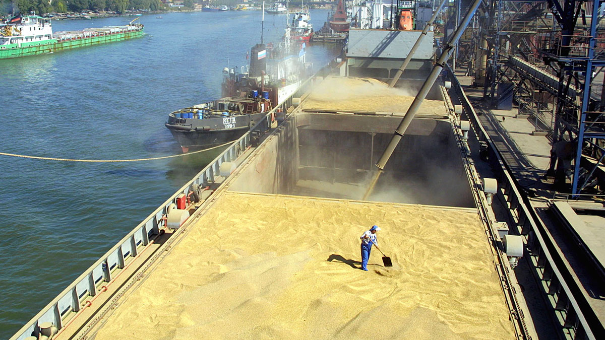 Погрузка экспортного зерна на суда у одного из причалов в дельте Дона
