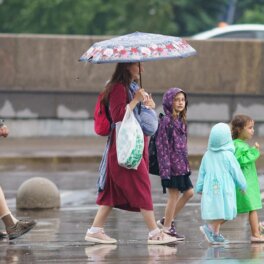 Тишковец: Центральную Россию на следующей неделе ждут типичная августовская погода и "пятнистые" дожди