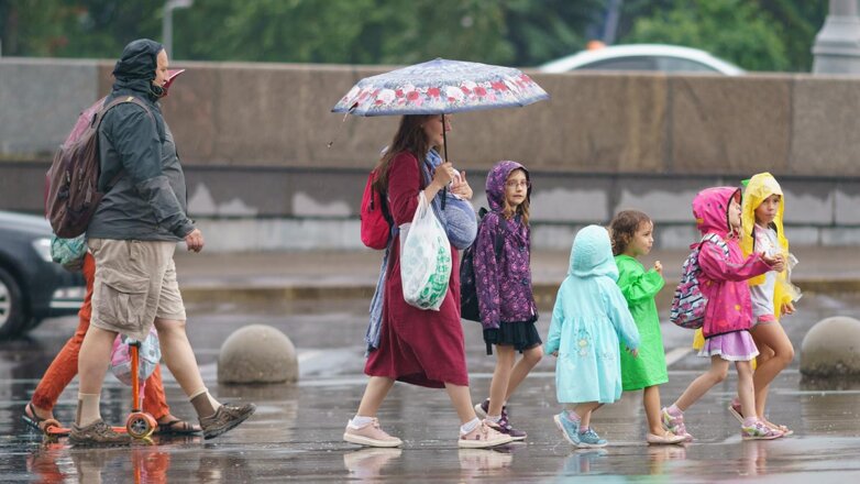 Жителей Москвы предупредили о грозе, дожде и усилении ветра в ближайшие часы