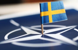 НАТО пытается уговорить Турцию согласиться на членство Швеции