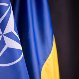 В Белом доме сообщили, что Украину не примут в НАТО еще несколько лет