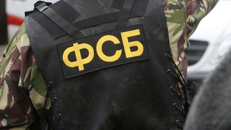 Канал легализации иностранцев в России пресекли ФСБ и МВД РФ
