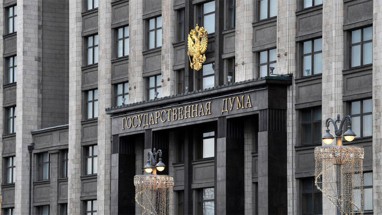 Проект закона о конфискации имущества за фейки о ВС России внесут в ГД 22 января