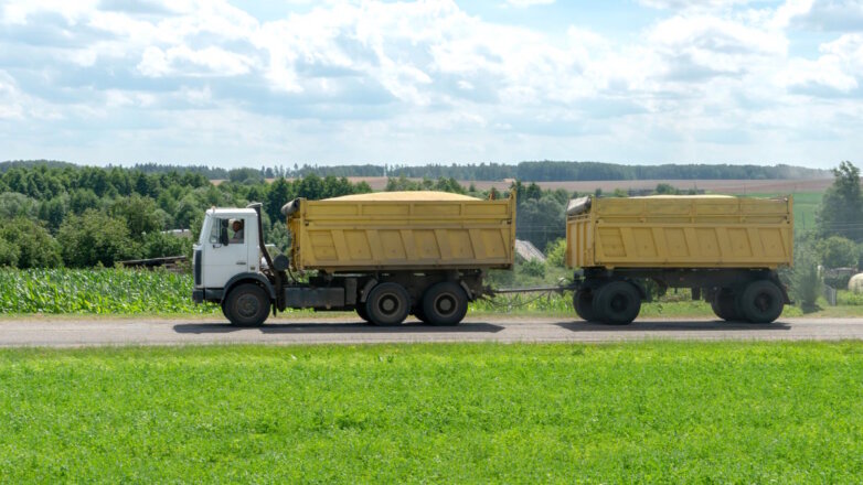 Фермеры из Венгрии призывают ЕК вернуть запрет на импорт зерна из Украины