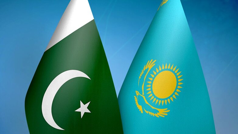 Токаев обсудил развитие торгово-экономических отношений с премьером Пакистана