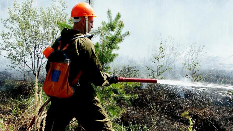 В России за сутки потушили 92 природных пожара