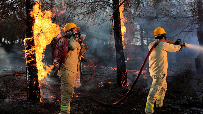 В России за сутки потушили 127 лесных пожаров
