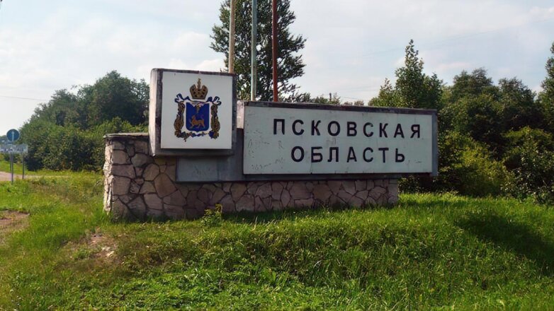 В Псковской области намерены создать отряды содействия обороне и безопасности