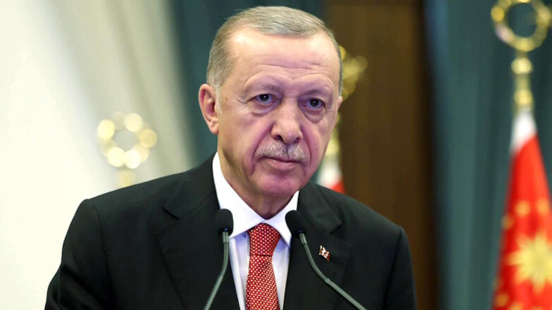 Star: Эрдоган обсудит с кабмином Турции планируемую встречу с Путиным