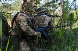 Минобороны РФ: российские войска освободили село Семеновка в ДНР
