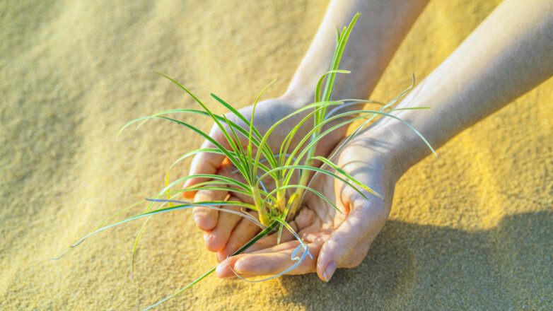 Какой сегодня праздник: 17 июня – Всемирный день борьбы с опустыниванием и засухой