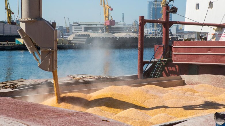 Мэрия Одессы: около 40% экспортеров украинского зерна работают "в тени"