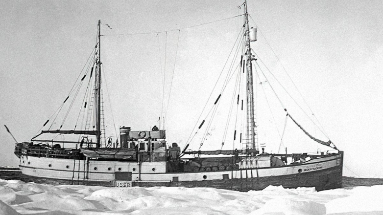 Смерть среди айсбергов: как погибло советское судно "Академик Шокальский"