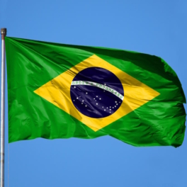 Бразилия заявила, что готова помочь достичь мира на Украине