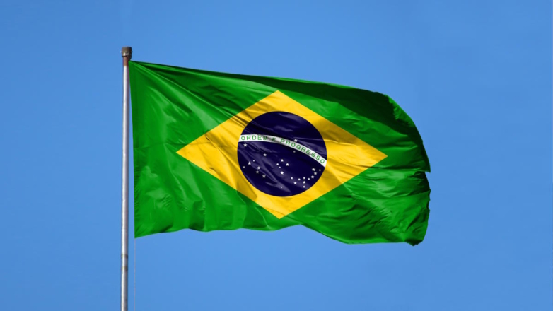 Восемь человек погибли в результате крушения автобуса в Бразилии