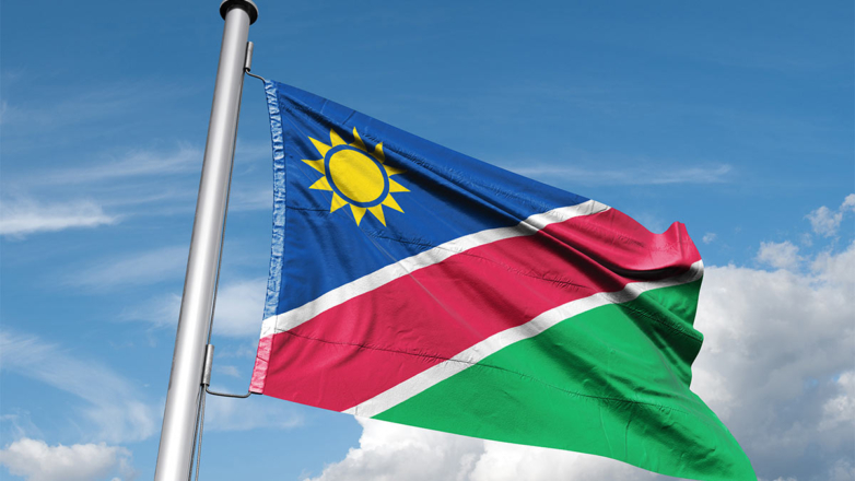 МИД Намибии: страны Запада выкачивают ресурсы из Африки