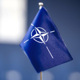 Кэмерон: участие НАТО в перехвате ракет ВС РФ на Украине вывело бы конфликт на новый уровень