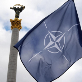Telegraph: Зеленскому рекомендовали не требовать от НАТО "невозможного"