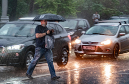 В Москве на выходных ожидаются дождь, гроза и сильный ветер