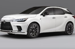 СМИ: в Россию привезли большую партию кроссоверов Lexus RX