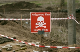 Генерал ФРГ заявил, что Украина не справляется с разминированием в ходе контрнаступления