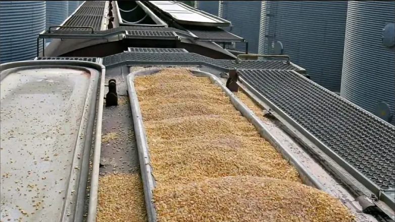 В Турции выступили за продление заканчивающейся "зерновой сделки"