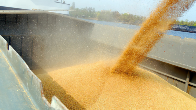 Боррель призвал увеличить вывоз украинского зерна через страны Евросоюза