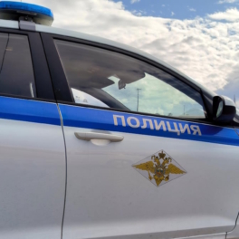 23 человека арестованы по делу о краже денег у участников СВО в Шереметьеве