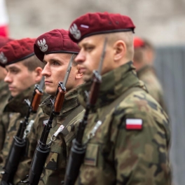 Балтийские страны и Польша проведут масштабные военные учения в сентябре