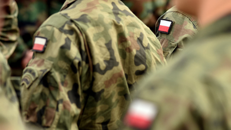 Туск: Польша не будет непосредственно участвовать в боях на Украине
