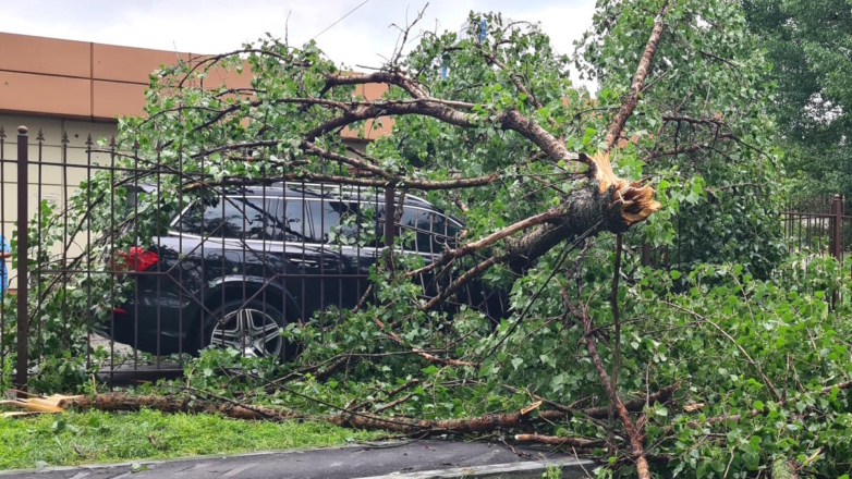 РИА Новости: из-за непогоды в Москве повалены 28 деревьев, 29 автомобилей повреждены