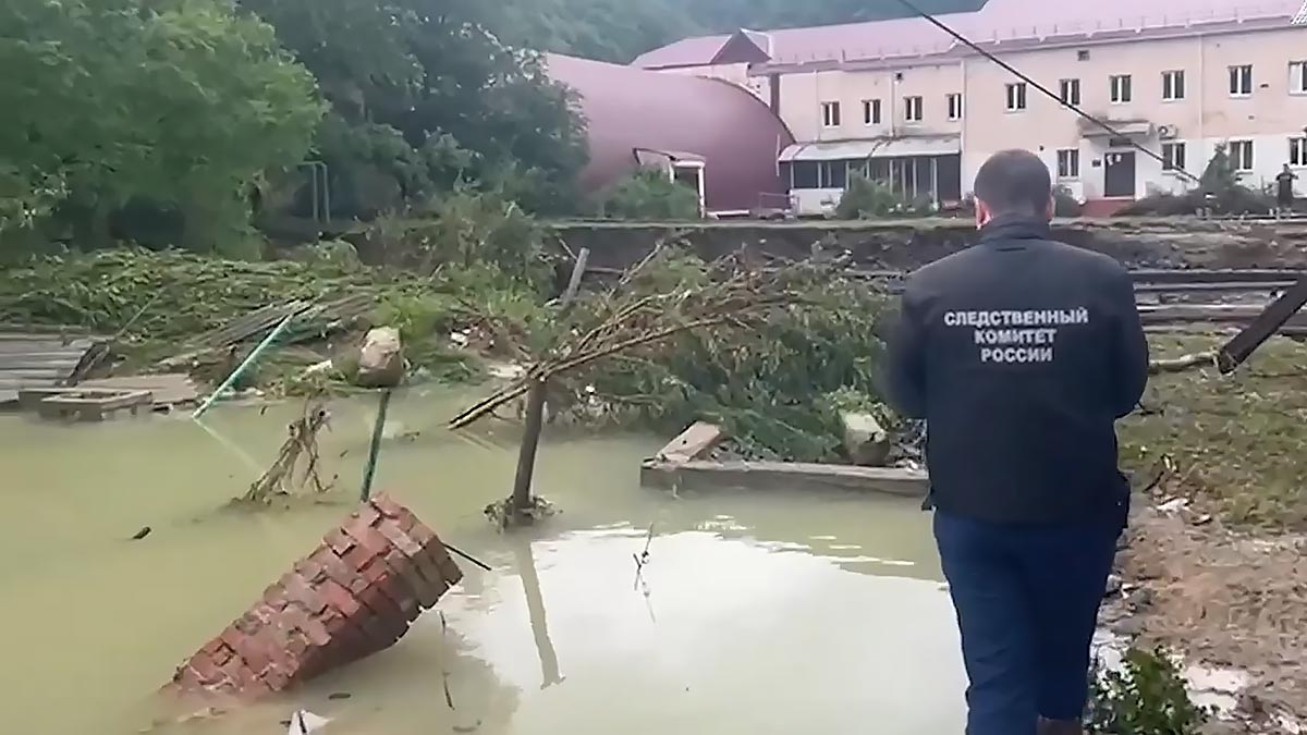 Девочка с картинки валеев