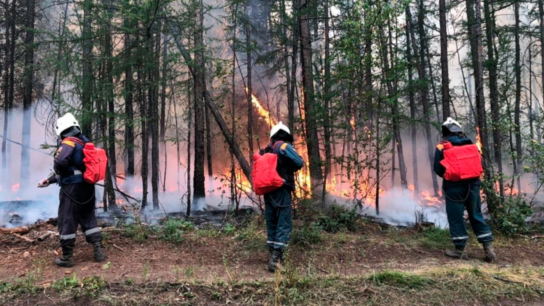 В России за сутки потушили лесные пожары на площади около 13 тысяч гектаров