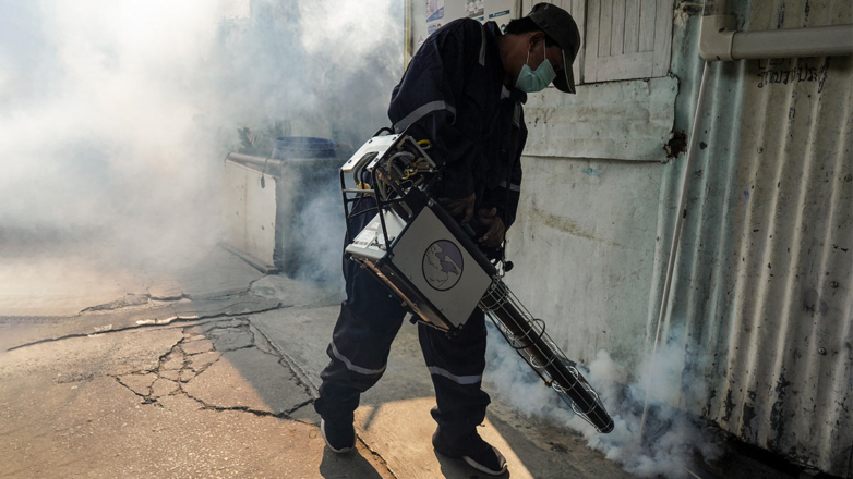 СМИ: Таиланду грозит эпидемия лихорадки денге