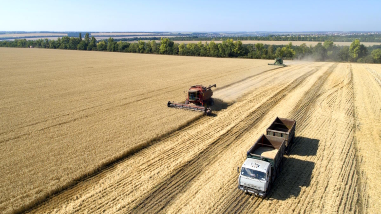 Минсельхоз: урожай зерна в 2023 году позволит обеспечить внутренний рынок