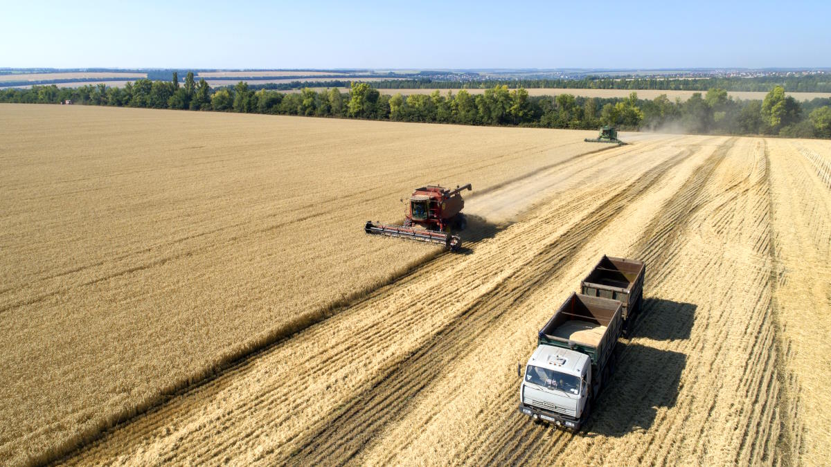 В Минсельхозе назвали объем собранного в России зерна с начала 2023 года