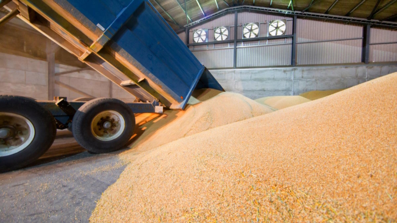 Таможенная подкомиссия одобрила временный запрет на вывоз твердой пшеницы из РФ