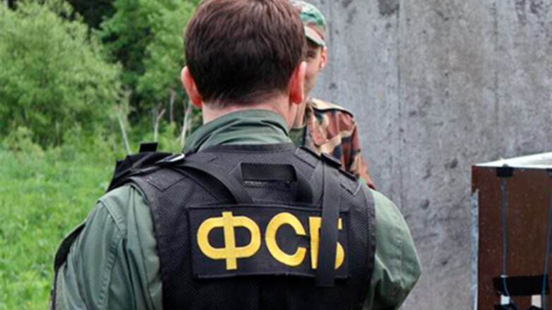 В Подмосковье выявили управляемую с Украины крупную нарколабораторию