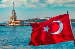 WSJ: новым президентом Турции может стать совладелец Bayraktar