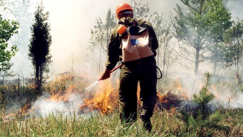 В России за сутки потушили 48 лесных пожаров