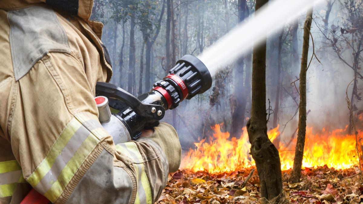 По всей Югре ввели режим ЧС из-за лесных пожаров