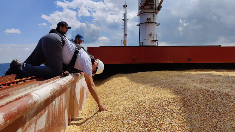 Кремль: РФ и Турция прорабатывают поставки зерна нуждающимся странам