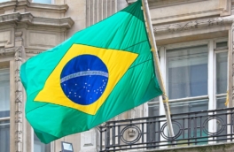 Великобритания попросила Бразилию повлиять на Россию в вопросе Украины