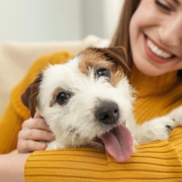 Кинолог дал 5 советов, которые помогут новой собаке освоиться в доме