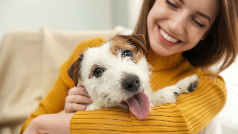 Кинолог дал 5 советов, которые помогут новой собаке освоиться в доме