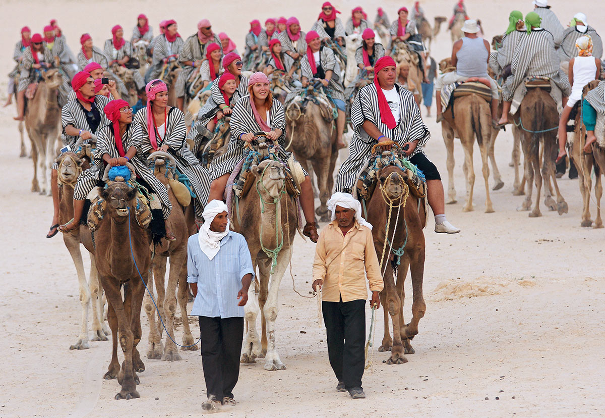 Туристов катают на верблюдах в Тунисе
