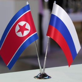 Ким Чен Ын заверил Шойгу в безусловной поддержке России со стороны КНДР