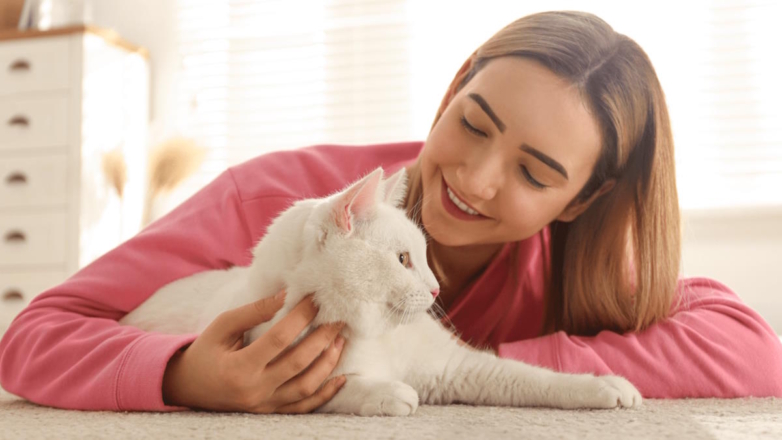 Специалисты поделились советами, которые помогут вам лучше понять вашу кошку