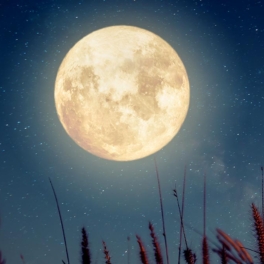 Какой сегодня праздник: 20 июля – Мeждунapoдный дeнь Луны